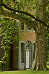 Arbre majestueux à côté de la conciergerie du château Coloma à St-Pieter-Leeuw 