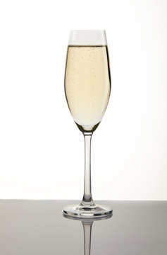 Glass With Champagne On A White Background With A Gray Substrate