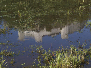 Fototapete bei efototapeten.de bestellen   