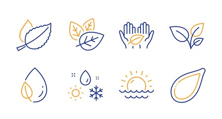 Organic tested, Weather and Leaf dew line icons set. Sunset, Fair trade and Leaves signs. Mint leaves, Pumpkin seed symbols. Bio ingredients, Climate. Nature set. Line organic tested icon. Vector
