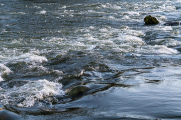 Wellen im Fluss