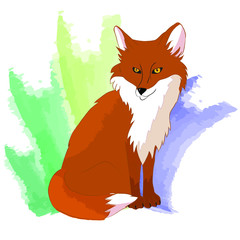 Wild animal, red fox that sits on its hind legs. Forest beast, sly fox on a colored background.