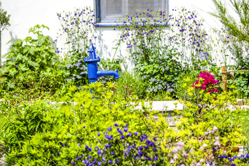 Fototapete bei efototapeten.de bestellen   