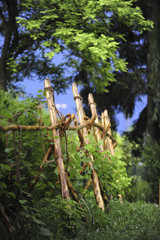 Holzkonstruktion für Kletterpflanzen