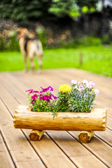 Fototapete bei efototapeten.de bestellen   