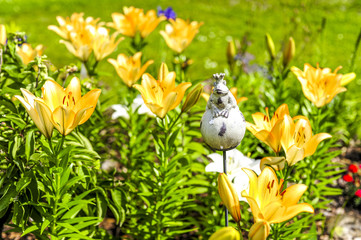 Blumenbeet, Lilie