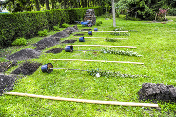 Fototapete bei efototapeten.de bestellen   