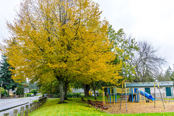 Burien Park In Autumn 9