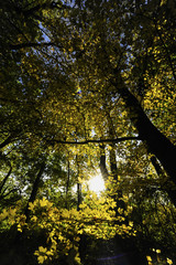 Obraz premium Landschaftsgarten Harrachpark im Herbst, Österreich, NIederöst