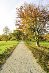 Landschaftsgarten Harrachpark im Herbst, Österreich, NIederöst