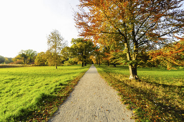 Obraz premium Landschaftsgarten Harrachpark im Herbst, Österreich, NIederöst