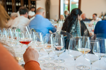 Wine degustaion