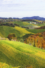 Südsteirische Weinstrasse im Herbst, Österreich, Steiermark, S