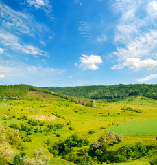 Obraz premium Hilly green fields with trees and blue sky.