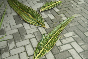 Woven Palm Leaves on the Ground in Paraty, Brazil