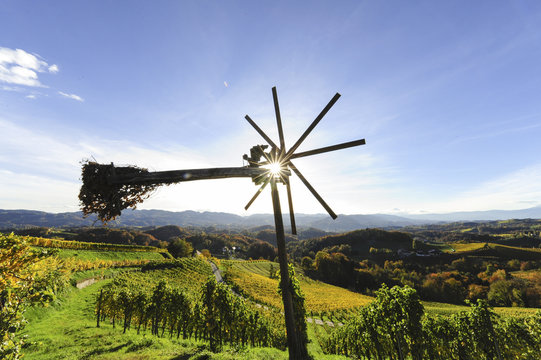 S&uuml;dsteirische Weinstrasse im Herbst, &Ouml;sterreich, Steiermark, S