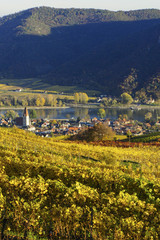 Weltkulturerbe Wachau im Herbst, Österreich, NIederösterreich,