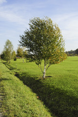 Bad Waltersdorf, Österreich, Steiermark, Divers