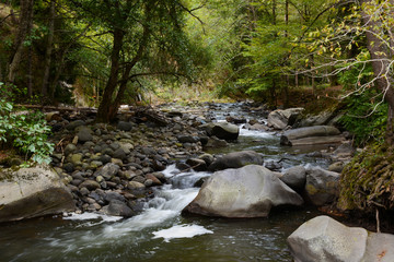 Obraz premium Borjomi, Georgia - September 22, 2018: Hiking trail through the forest to Tsar Bath pool