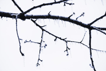 Eisregen mit Eisüberzug, gefrierender Regen, Österreich, NIede