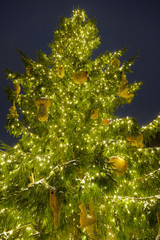 Beautiful decorated christmas tree with present boxes in a winter landscape with snow