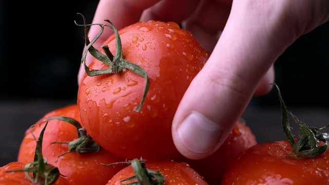 Man takes red tomato with water droplets on dark background, farming and cooking close up and side view