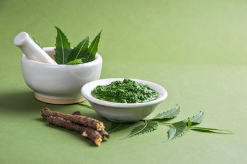 Medicinal Neem leaves in mortar and pestle with paste and twigs on green background