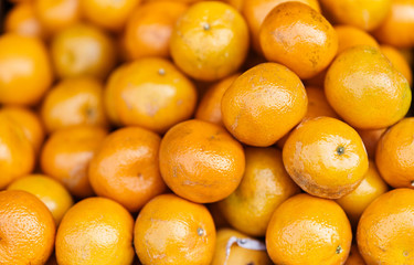 fresh tangerines at the supermarket kiosk. Fresh tangerines on display in the grocery store. tangerines on the shelves in the usual market