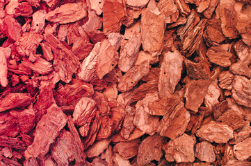Macro photo of pine bark. Mulch for garden design. Image of red brown wood chip bark texture background. Toning in warm colors. Place for text and layout for design.