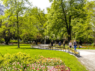 Obraz premium Wien, Rathauspark, Österreich, 1. Bezirk, Rathaus