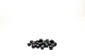 blueberries white background