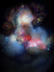 Obraz na płótnie Canvas Space Cat. Modern digital art