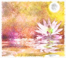Waterlily. Lotus flower. Watercolor painting