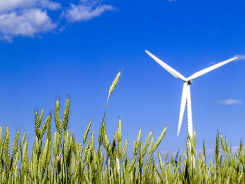 Windpark Parndorf, &Ouml;sterreich, Burgenland, Nordburgenland, Parn