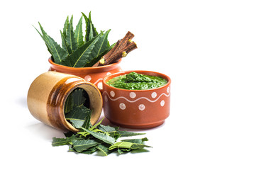 Medicinal Neem leaves with paste and twigs on white background