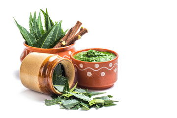 Medicinal Neem leaves with paste and twigs on white background