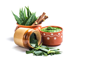 Medicinal Neem leaves with paste and twigs on white background