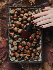 brown manicure against the background of acorns and nuts