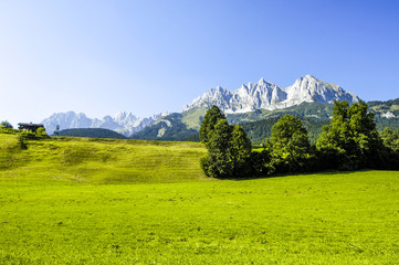 Alpenblick, Feld mit Bäumen, Österreich, Tirol