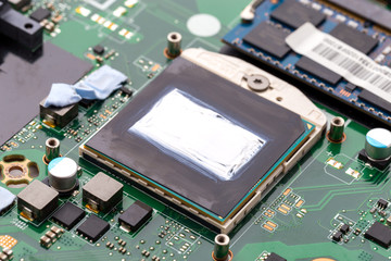 Replacing thermal paste on a laptop. New thermal grease on the processor close-up.