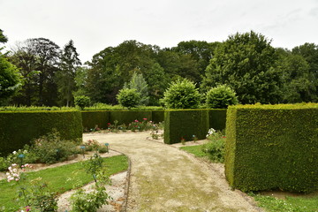 Allées et chemins entre les haies ou parcelles de roses à la roseraie Coloma à St-Pieter-Leeuw