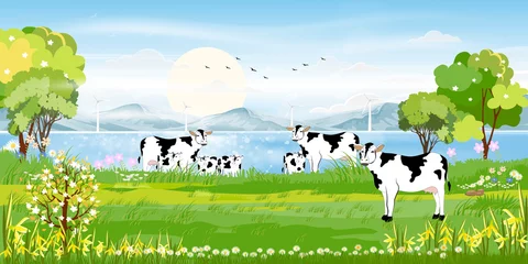 Foto op Aluminium Rural farm landscape with green fields,cow and windmills farm on lakes with blue sky and clouds, Vector cartoon Spring or Summer landscape,Eco village or Organic farming in uk © Anchalee