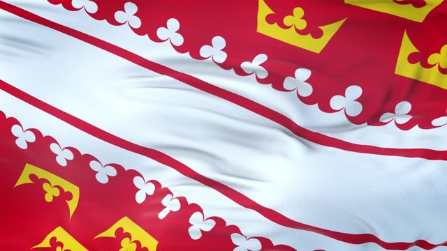 Alsace (Region of France) flag waving in the wind with highly detailed fabric texture. Seamless loop