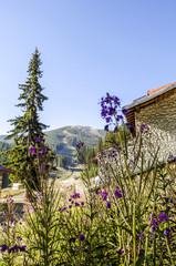 Obraz premium Bansko, Skigebiet, Bulgarien, Piringebirge, Pirin Nationalpark