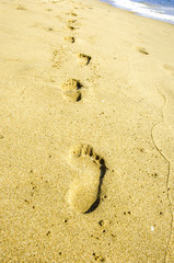 Goldstrand, Bulgarien, Schwarzes Meer, Zlatni Pjasaci