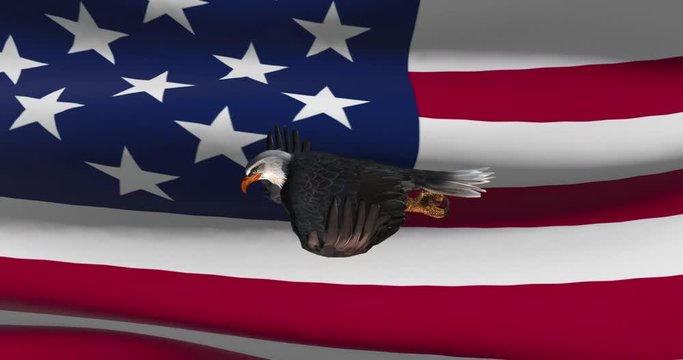 USA flag with bald eagle animation - national patriotic colorful symbol.