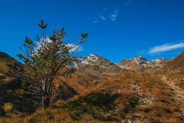 Österreichische Alpen