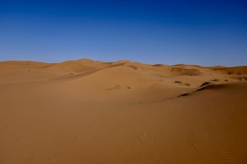 Fototapeta na wymiar Sand dune in sahara, Morocco, Africa