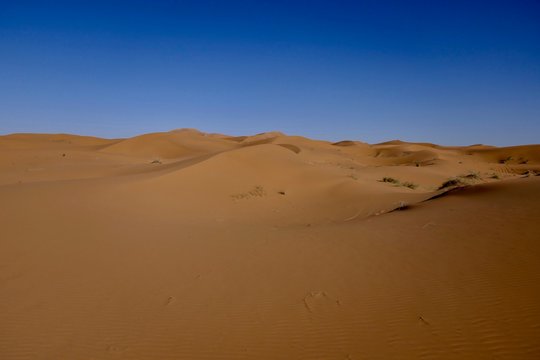 Sand dune in sahara, Morocco, Africa