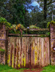 Big ancient door covered in mold